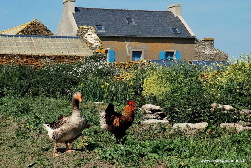 Diaporama Une île au large de l'espoir - | Photo www.iledequemenes.fr