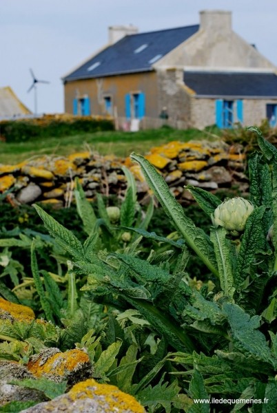 Diaporama Une île au large de l'espoir - | Photo www.iledequemenes.fr