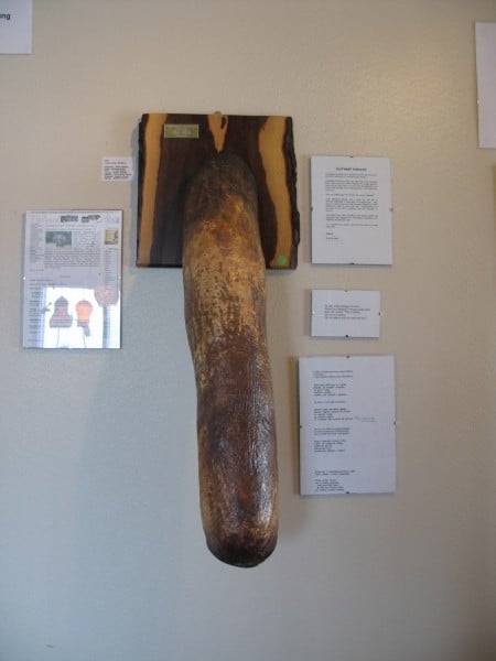 Diaporama Longue "vit" au musée des phallus - Photo Louis Paulin 