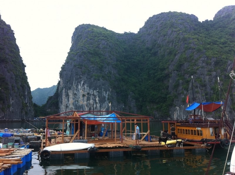 Diaporama Baie d’Ha Long et villages flottants - Un nouvel habitant! l Amélie Roux