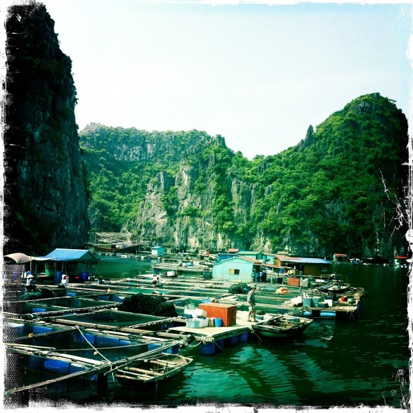 Diaporama Baie d’Ha Long et villages flottants - ...près du village! l Amélie Roux