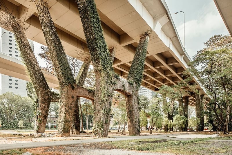 Diaporama La Cité de l'architecture à la découverte des mégapoles asiatiques - Série Singapour © Cyrus Cornut - Tous droits réservés