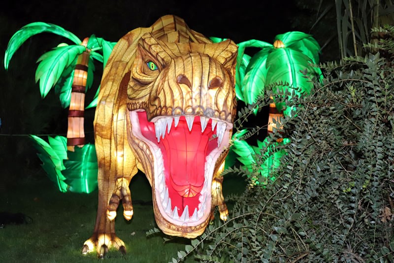 Diaporama Espèces en voie d'illumination, dernières lueurs avant extinction - Tyrannosaure flippant à l'expo Espèces en voie d'illumination