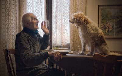 "Chasseurs de truffes", savoureux secret