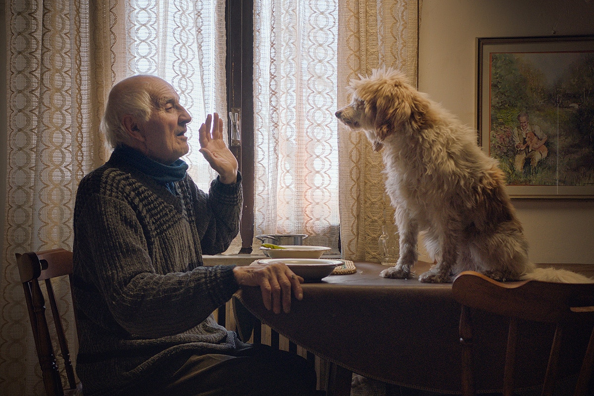 « Chasseurs de truffes », savoureux secret