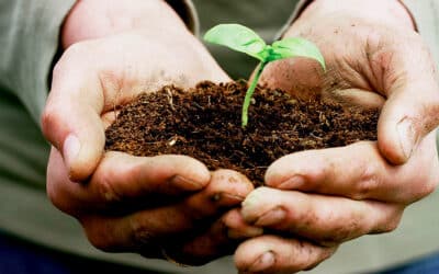 "Mission régénération", la séduisante clé des sols