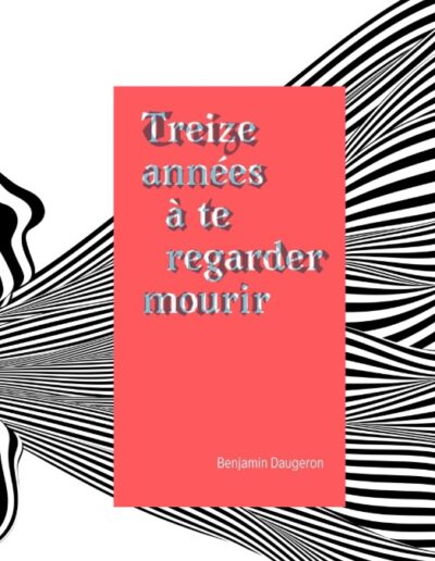 Treize années à te regarder mourir : père de toutes les douleurs