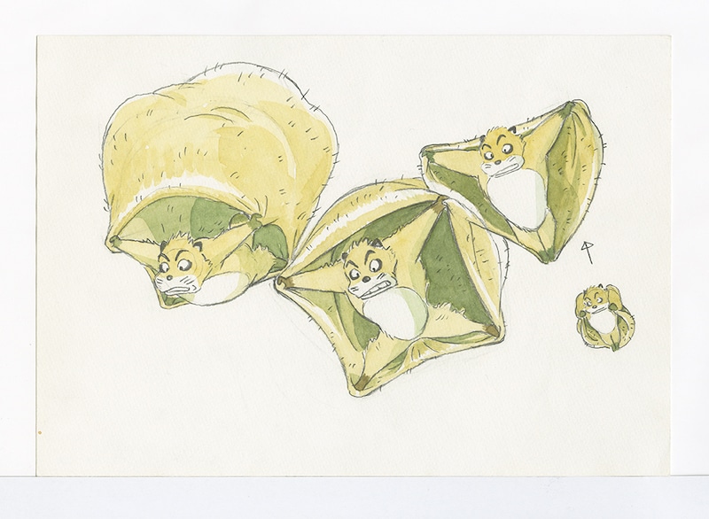 Pompoko ©1994 Isao Takahata/Studio Ghibli, NH