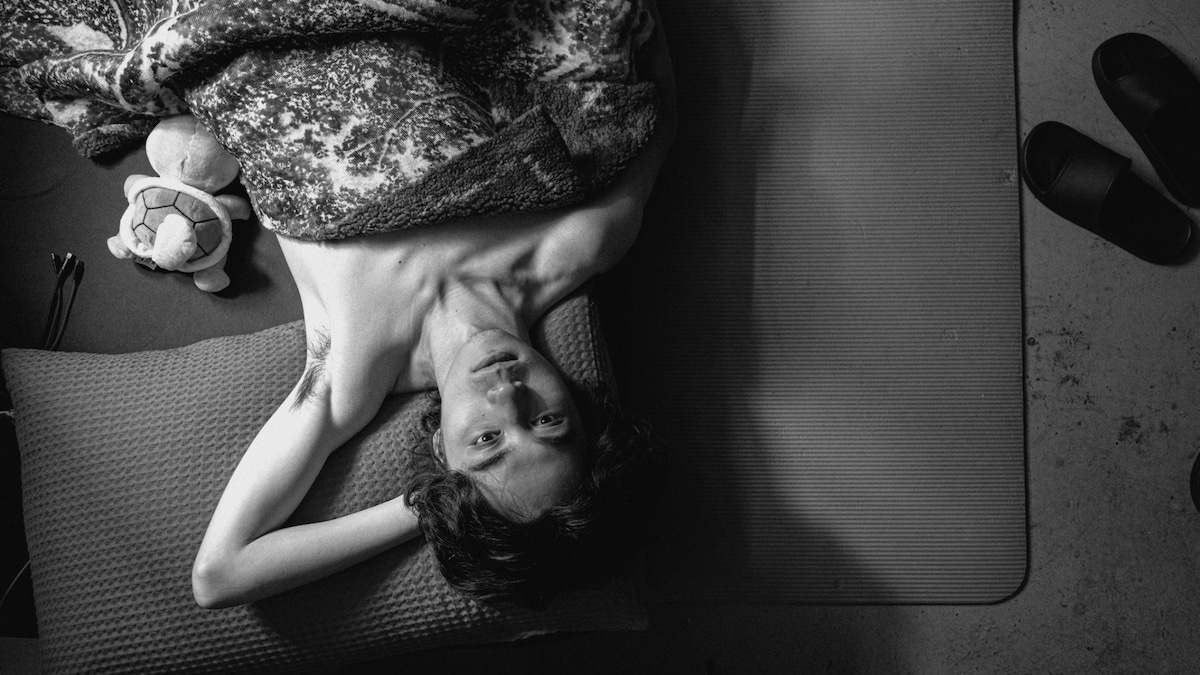 « Queerpanorama », kamasutra caméléon