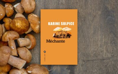 Méchante, le nouveau Karine Sulpice : farce noire à la sauce chabrolienne
