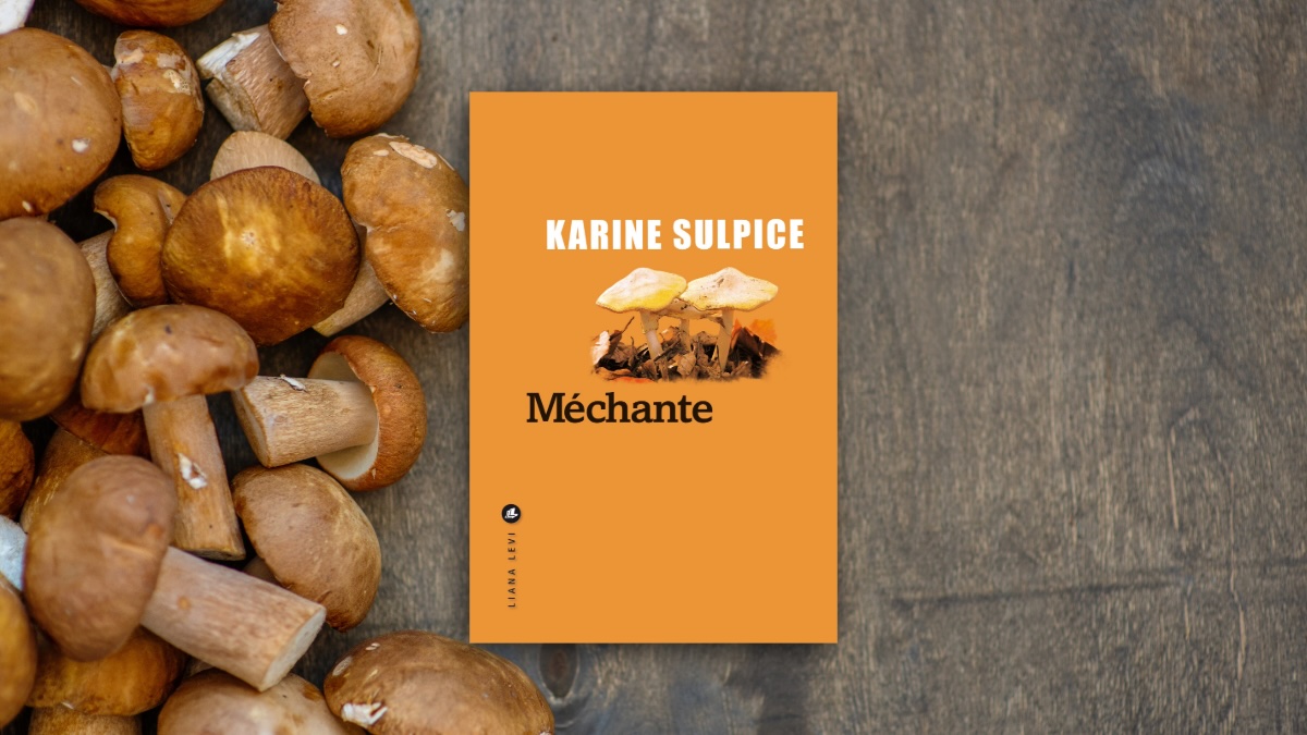 Méchante, le nouveau Karine Sulpice : farce noire à la sauce chabrolienne