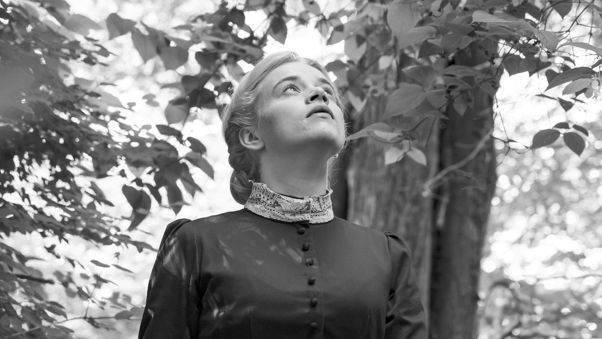 « Silent Friend », l&rsquo;immuable sérénité de l&rsquo;hêtre