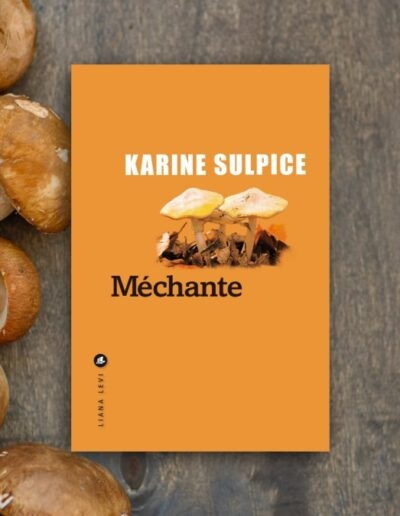 Méchante, le nouveau Karine Sulpice : farce noire à la sauce chabrolienne